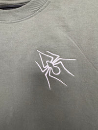 Spider