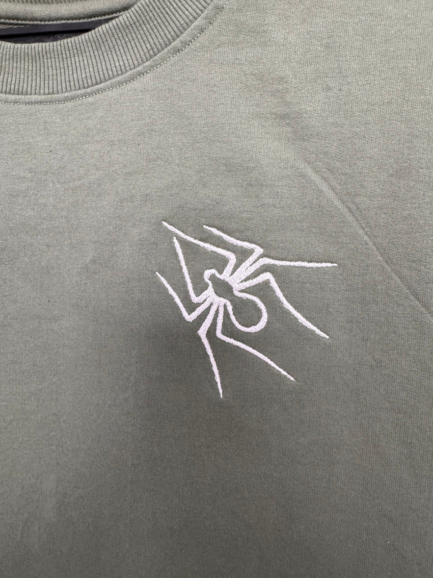 Spider